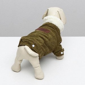 Куртка для собак вельветовая, S (ДС 24 см, ОШ 24 см, ОГ 35 см), зелёная