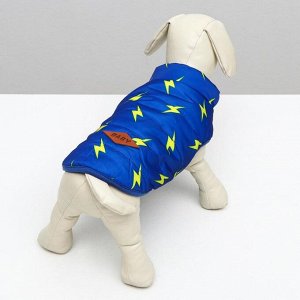 Куртка для собак &quot;Молния&quot;, S (ДС 20 см, ОШ 23 см, ОГ 32 см), ярко-синяя