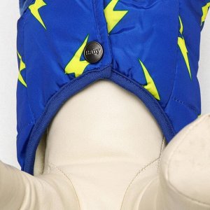 Куртка для собак "Молния", M (ДС 25 см, ОШ 26 см, ОГ 37 см), ярко-синяя