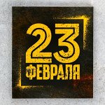 Шоколад молочный «23 Февраля»: 5 г