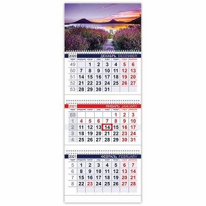 Календарь квартальный 3-х блочный на 2021 год "Хатбер Дыхание природы" Офис арт. 3Кв3гр3_23097