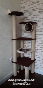 Спортивный комплекс &quot;Сафари&quot; ткань, джут