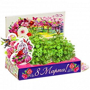 Подарочный набор Живая открытка "Букет тюльпанов"
