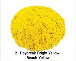 Daybreak Bright  Yellow