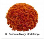 Sunbeam Orange
