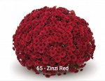 39 Zinzi Red