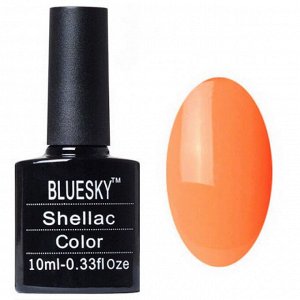 Shellac bluesky L №040