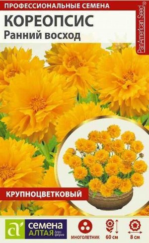 Цветы Кореопсис Ранний восход крупноцв./Сем Алт/цп 10 шт. многолетник