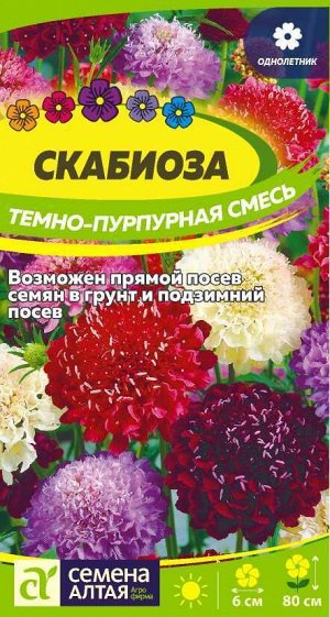 Скабиоза Темно-Пурпурная смесь/Сем Алт/цп 0,3 гр.