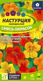 Цветы Настурция Смесь Окрасок низкоросл./Сем Алт/цп 1 гр.