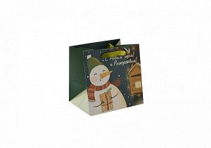 Пакет бумажный "Снеговик с подарком" 15х15х12см NY39 ВЭД