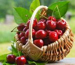 ягода Вишня без косточки 1кг