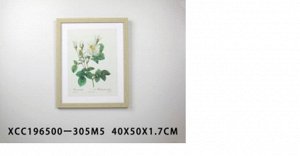 Декор. изобр. "Белые цветы" 40х50х1,7см XCC196499 ВЭД