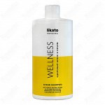 Шампунь-скраб для тонких, жирных волос Wellness