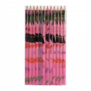 Карандаши цветные "Фламинго" в картонной коробке, 12 цветов