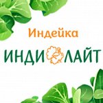 Индейка Индилайт, Индеаль, Инди