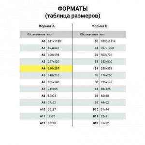 Блокнот БОЛЬШОЙ ФОРМАТ (195х297 мм) А4, 80 л., спираль, картон, жесткая подложка, клетка, BRAUBERG, &quot;INDAY&quot;, ассорти, 122801