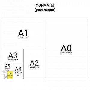 Блокнот МАЛЫЙ ФОРМАТ (110х147 мм) А6, 80 л., ламинированная обложка, выборочный лак, клетка, BRAUBERG, &quot;Тигровый&quot;, 123244