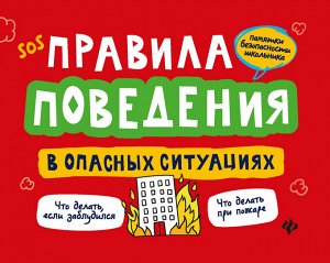 Правила поведения в опасных ситуациях дп