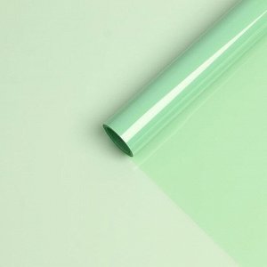 Пленка для цветов "Хрусталь", пастельный зелёный, 58 см х 10 м