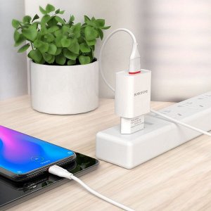 Сетевое зарядное устройство с кабелем Micro-USB Borofone BA20A