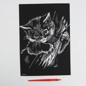 Гравюра «Котёнок» с металлическим эффектом радуги А4