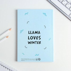 Art Fox Подарочный набор Zima-Llama: обложка для паспорта и ежедневник А5, 80 листов
