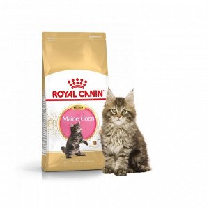 Royal Canin KITTEN MAINE COON (КИТТЕН МЕЙН-КУН)Специальное питание для котят породы мейн-кун, а также для сибирских, норвежских лесных и др