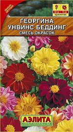 Георгина Унвинс Беддинг (смесь окрасок)