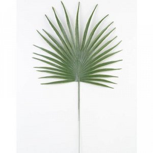 Лист зелени Пальма круглый зеленый 35см