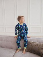 Комплект w0013