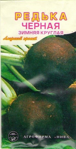 Редька Черная Зимняя Круглая АП