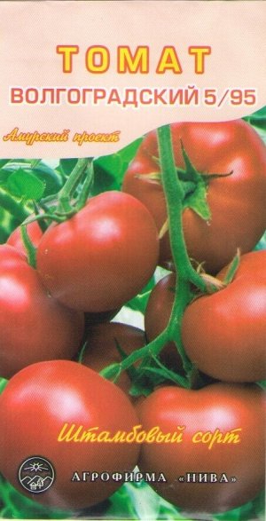 Томат Волгоградский 5/95  АП