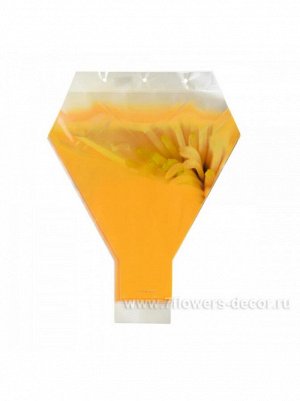 рюмка 50*42*12 цветн.50шт.