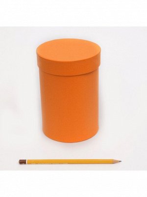 Коробка картон Цилиндр 11 х 16 см цвет микс HS-12-4