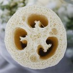 Многоразовая мочалка из люфы