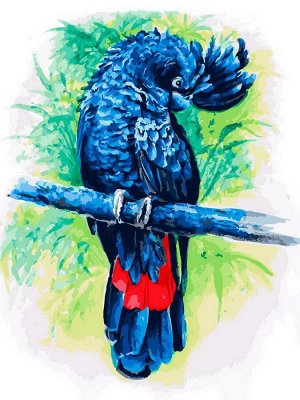 362-AS Набор для творчества Белоснежка картина по номерам на холсте Синий попугай 30*40 см