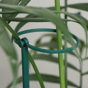 Greengo Поддержка для растений, h = 40,5 см, цвет МИКС