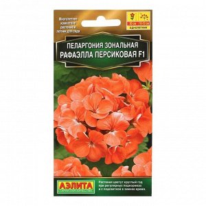 Семена цветов Пеларгония Рафаэлла F1 персиковая, 5 шт