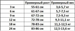 Боди с принтом "Надпись"