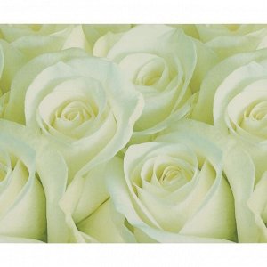 Кухонный фартук ПВХ "Белые розы" 3000x600мм