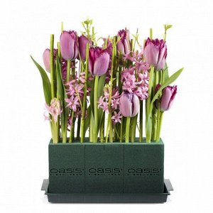 Флористическая губка для срезанных цветов OASIS