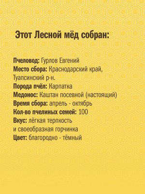 Мёд каштановый Вкус Жизни New 100 гр. шайба