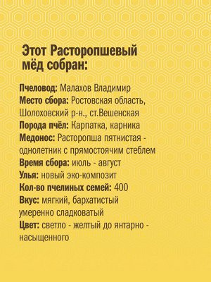 Мёд расторопшевый Вкус Жизни New 100 гр.