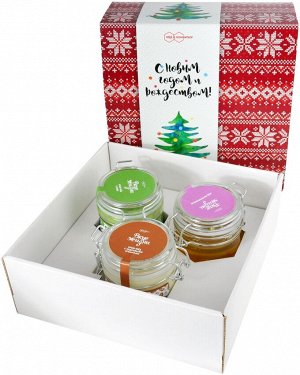 Подарочный набор С Новым Годом и Рождеством Ёлочка мёд с киви, расторопшевый, с кедровыми орешками бугель и ложечка медовая