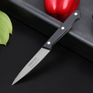 Нож кухонный Труд Вача «Европа», овощной, лезвие 9 см, цвет чёрный 5477912