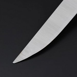 Нож кухонный «Европа», универсальный, лезвие 20 см