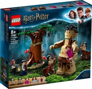 75967-L Конструктор LEGO Harry Potter TM Запретный лес: Грохх и Долорес Амбридж