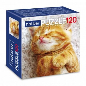 Пазл Hatber Premium Котиков много не бывае 120 элементов т А5 формат 150х150мм24
