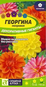 Цветы Георгина Декоративные гиганты/Сем Алт/цп 0,2 гр.